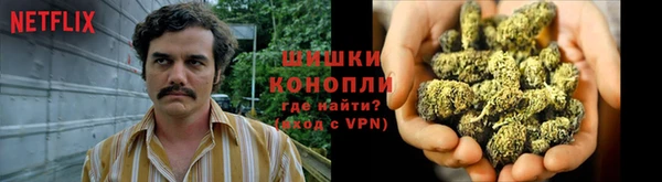 винт Алзамай