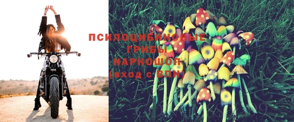 винт Алзамай
