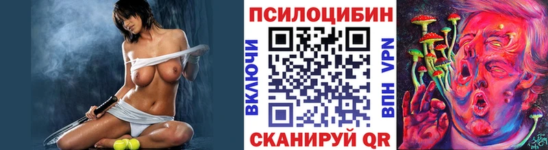 Псилоцибиновые грибы Psilocybine cubensis  mega маркетплейс  Копейск 